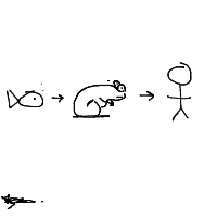 evolution drawing by player-t1klycmdb in Artbitrator