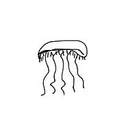 jellyfish drawing by player-lfn5q3e76 in Artbitrator