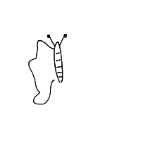 butterfly drawing by player-wuhfzzl8g in Artbitrator