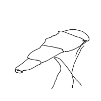 telescope drawing by player-mvbr133d2 in Artbitrator