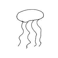 jellyfish drawing by player-x4l3moeue in Artbitrator