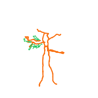 tree drawing by player-mdh6efadc in Artbitrator