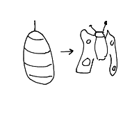 metamorphosis drawing by player-6lcqccwy0 in Artbitrator