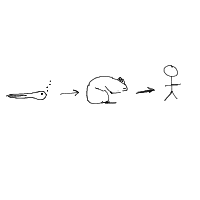 evolution drawing by player-xudrq4a6n in Artbitrator