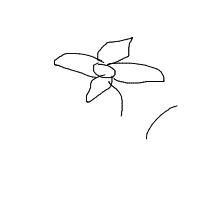 flower drawing by player-erqx6f2ta in Artbitrator