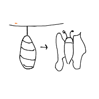 metamorphosis drawing by player-mxhjdsprs in Artbitrator