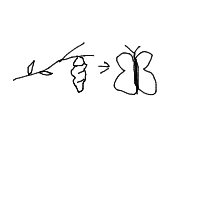 metamorphosis drawing by player-6azt2ums5 in Artbitrator