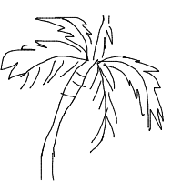 palm tree drawing by player-d353fs0li in Artbitrator