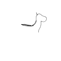 dog drawing by player-dc02v8hjx in Artbitrator