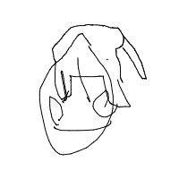 elephant drawing by player-4ymhzapvg in Artbitrator