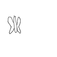 butterfly drawing by player-xf3s402jk in Artbitrator