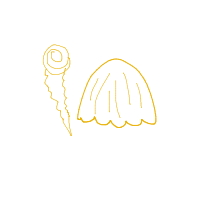 seashell drawing by player-c417n11oc in Artbitrator