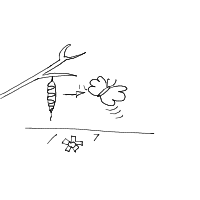 metamorphosis drawing by player-6g9q7v8jo in Artbitrator