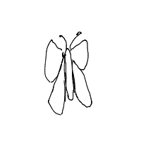 butterfly drawing by player-levorap76 in Artbitrator