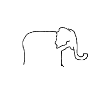 elephant drawing by player-pog0uv636 in Artbitrator