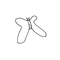 butterfly drawing by player-2ljhdxeyt in Artbitrator