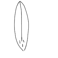 surfboard drawing by newaccount in Artbitrator