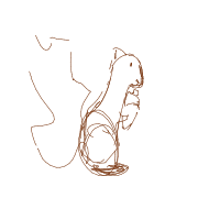 squirrel drawing by guest-14gmxge91 in Artbitrator