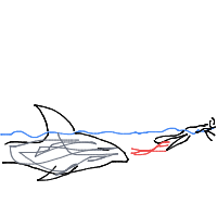 shark attack drawing by batman13 in Artbitrator