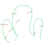 cactus drawing by guest-dvg2yvm4v in Artbitrator