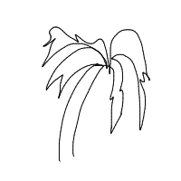 palm tree drawing by guest-k7kfrl0r9 in Artbitrator