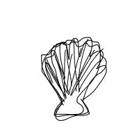 seashell drawing by guest-k7kfrl0r9 in Artbitrator