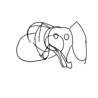 elephant drawing by guest-a032jp6uv in Artbitrator