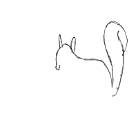 squirrel drawing by guest-btqeeqgc3 in Artbitrator