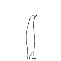 penguin drawing by guest-me105v2nc in Artbitrator