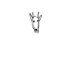 mountain goat drawing by guest-icwzzpz7l in Artbitrator