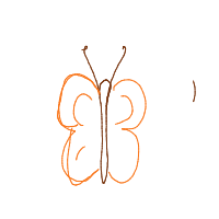 butterfly drawing by johnpork in Artbitrator