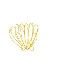 seashell drawing by johnpork in Artbitrator