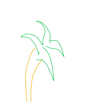 palm tree drawing by johnpork in Artbitrator