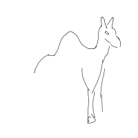 camel drawing by guest-la09tkwqf in Artbitrator