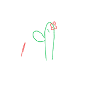 cactus drawing by meowmeow63 in Artbitrator