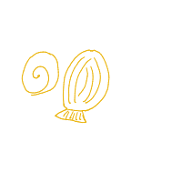 seashell drawing by meowmeow63 in Artbitrator