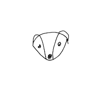 badger drawing by catt in Artbitrator