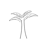 palm tree drawing by catt in Artbitrator