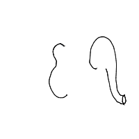 elephant drawing by kashmirr_kccj in Artbitrator