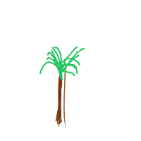 palm tree drawing by kashmirr_kccj in Artbitrator