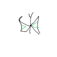 butterfly drawing by frampt in Artbitrator