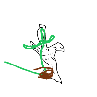 cactus drawing by player-icwfmlx6e in Artbitrator