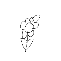 flower drawing by guest-nv7pds0ok in Artbitrator