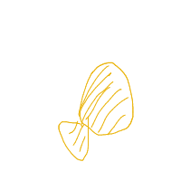 seashell drawing by guest-caensele4 in Artbitrator