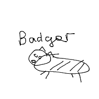 badger drawing by guest-md5uoa7wb in Artbitrator