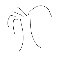 tree drawing by adam2 in Artbitrator