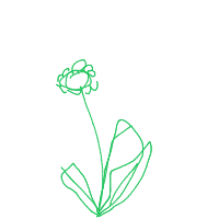 flower drawing by adam2 in Artbitrator