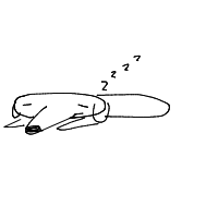 sleepy dog drawing by guest-uix2xx4rh in Artbitrator