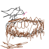 bird building nest drawing by guest-gd24wqiuk in Artbitrator