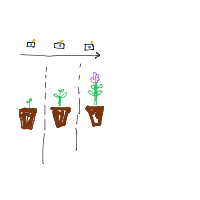 plant growing timelapse drawing by mattycass95 in Artbitrator